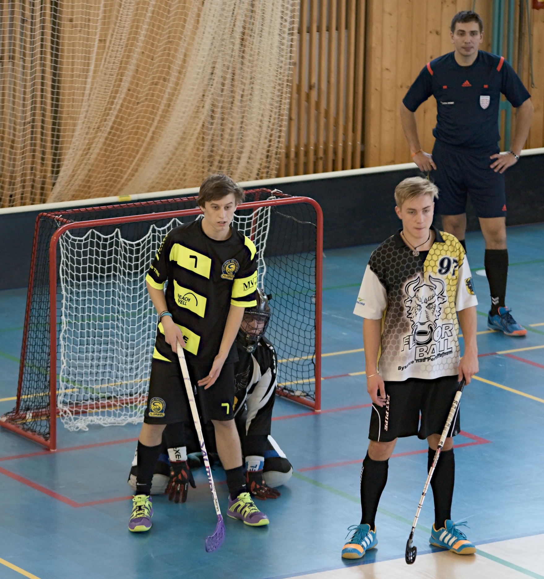 JunciLedec241015 117